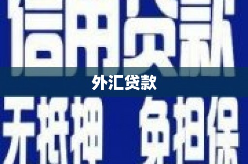 松滋外汇贷款