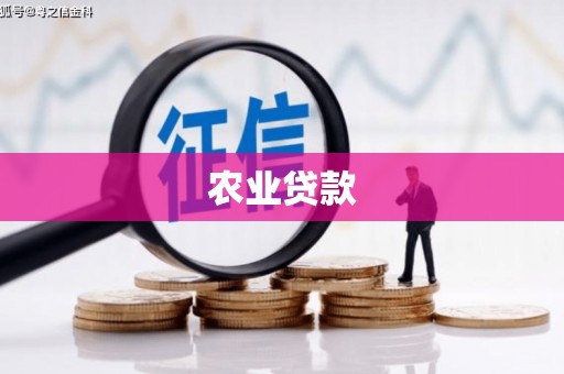松滋农业贷款
