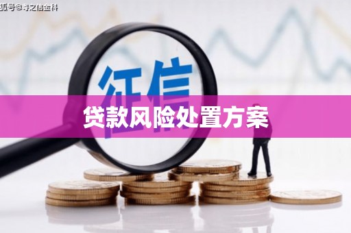 松滋贷款风险处置方案