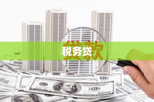 松滋税务贷