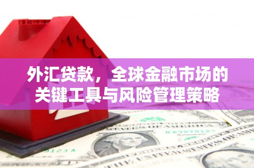 松滋外汇贷款，全球金融市场的关键工具与风险管理策略