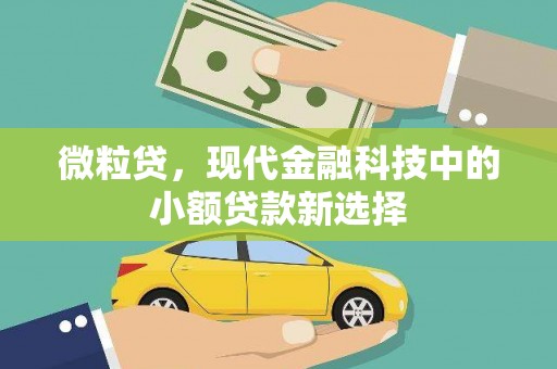 松滋微粒贷，现代金融科技中的小额贷款新选择