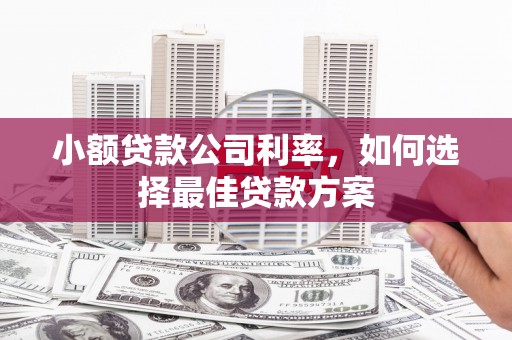 松滋小额贷款公司利率，如何选择最佳贷款方案