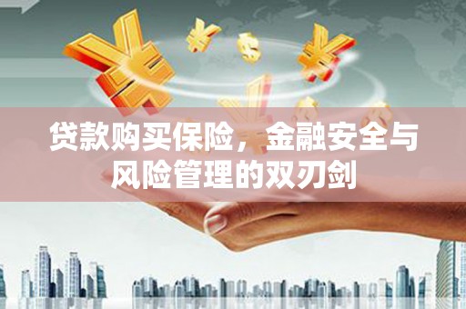 松滋贷款购买保险，金融安全与风险管理的双刃剑