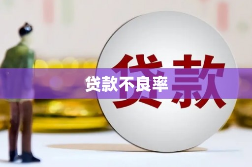 松滋贷款不良率