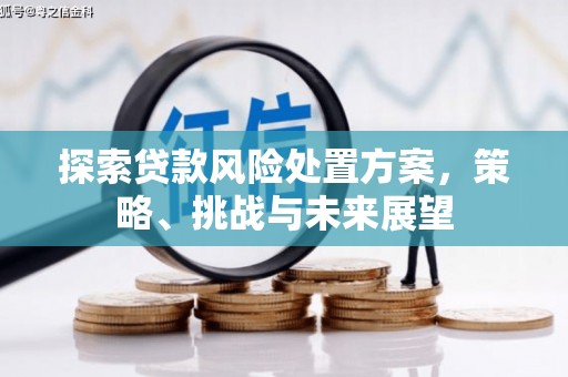松滋探索贷款风险处置方案，策略、挑战与未来展望