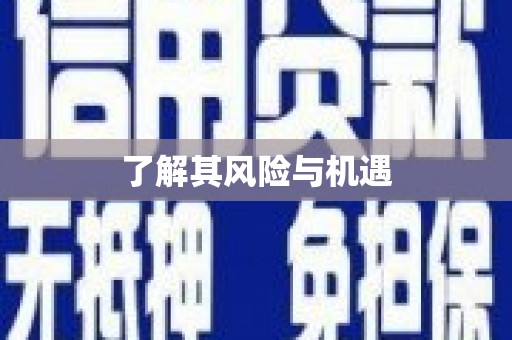 松滋了解其风险与机遇