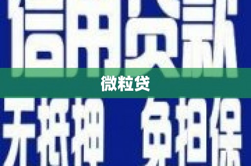松滋微粒贷