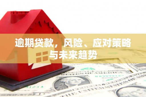 松滋逾期贷款，风险、应对策略与未来趋势