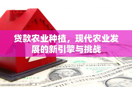 松滋贷款农业种植，现代农业发展的新引擎与挑战