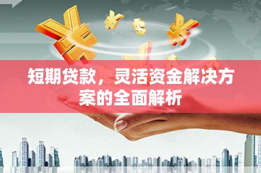 松滋短期贷款，灵活资金解决方案的全面解析