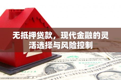 松滋无抵押贷款，现代金融的灵活选择与风险控制