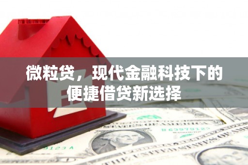 松滋微粒贷，现代金融科技下的便捷借贷新选择