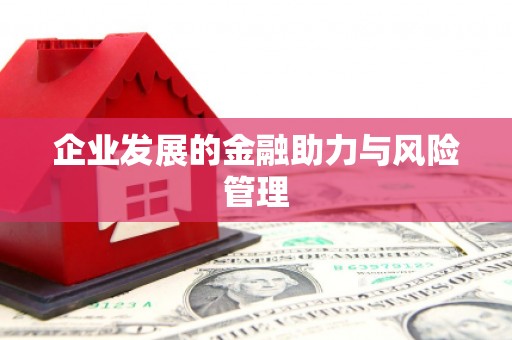 松滋企业发展的金融助力与风险管理