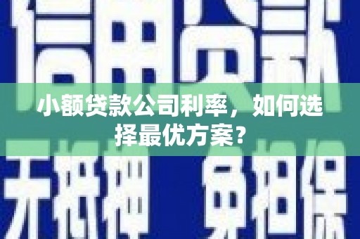 松滋小额贷款公司利率，如何选择最优方案？