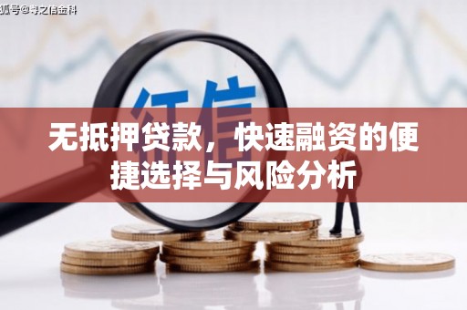 松滋无抵押贷款，快速融资的便捷选择与风险分析