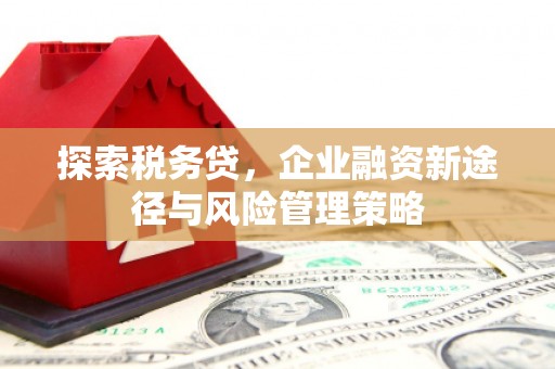松滋探索税务贷，企业融资新途径与风险管理策略