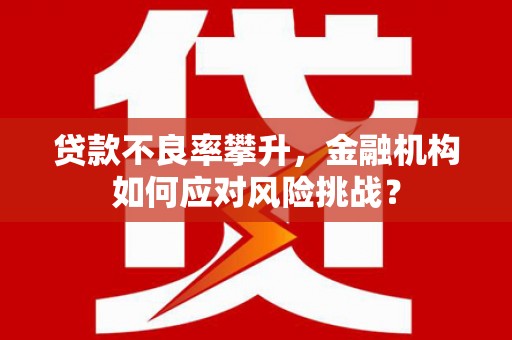 松滋贷款不良率攀升，金融机构如何应对风险挑战？