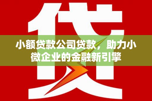 松滋小额贷款公司贷款，助力小微企业的金融新引擎