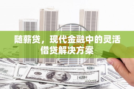 松滋随薪贷，现代金融中的灵活借贷解决方案