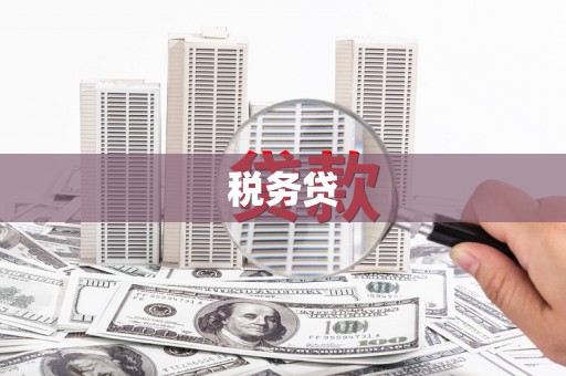 松滋税务贷
