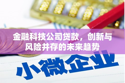 松滋金融科技公司贷款，创新与风险并存的未来趋势