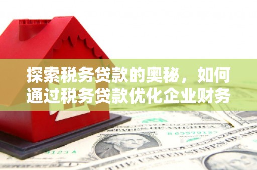松滋探索税务贷款的奥秘，如何通过税务贷款优化企业财务