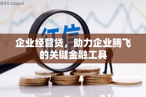 松滋企业经营贷，助力企业腾飞的关键金融工具