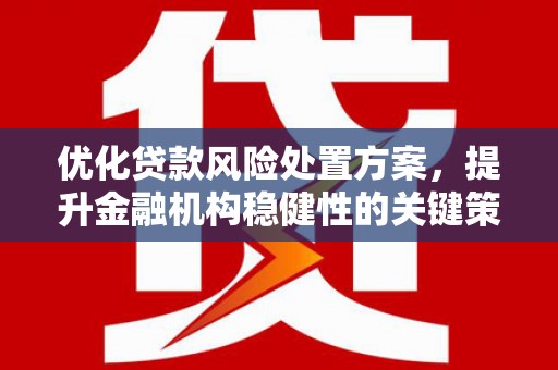 松滋优化贷款风险处置方案，提升金融机构稳健性的关键策略