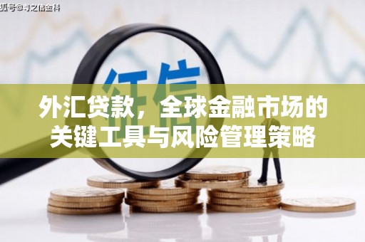 松滋外汇贷款，全球金融市场的关键工具与风险管理策略