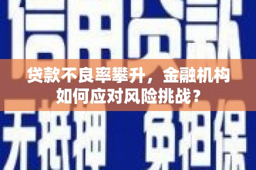 松滋贷款不良率攀升，金融机构如何应对风险挑战？