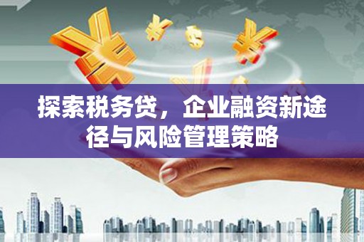 松滋探索税务贷，企业融资新途径与风险管理策略
