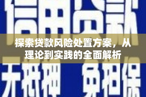 松滋探索贷款风险处置方案，从理论到实践的全面解析