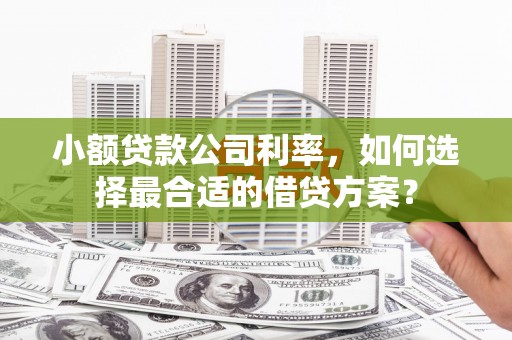 松滋小额贷款公司利率，如何选择最合适的借贷方案？