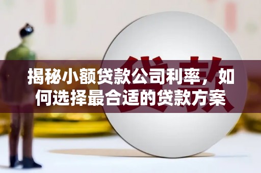 松滋揭秘小额贷款公司利率，如何选择最合适的贷款方案