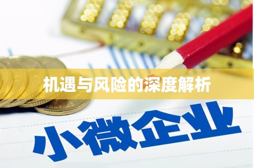 松滋机遇与风险的深度解析