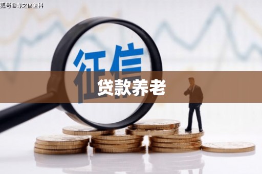 松滋贷款养老