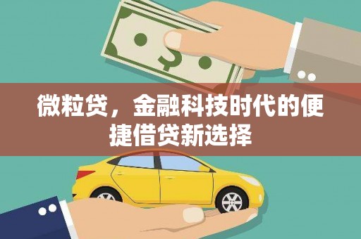 松滋微粒贷，金融科技时代的便捷借贷新选择