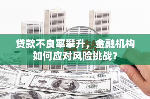 松滋贷款不良率攀升，金融机构如何应对风险挑战？