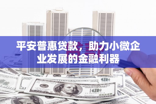 松滋平安普惠贷款，助力小微企业发展的金融利器