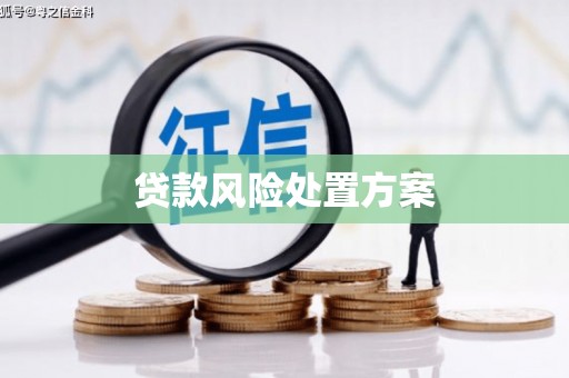 松滋贷款风险处置方案