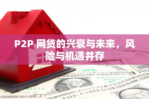 松滋P2P 网贷的兴衰与未来，风险与机遇并存
