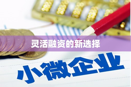 松滋灵活融资的新选择