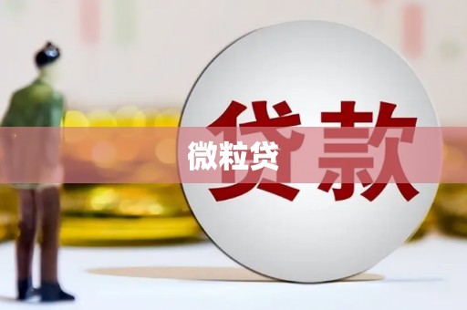 松滋微粒贷