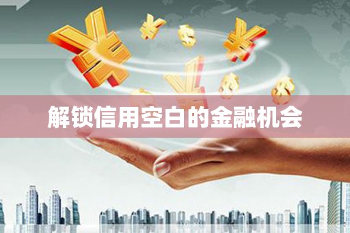 松滋解锁信用空白的金融机会