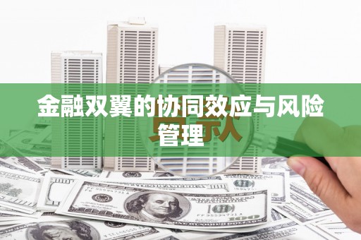 松滋金融双翼的协同效应与风险管理